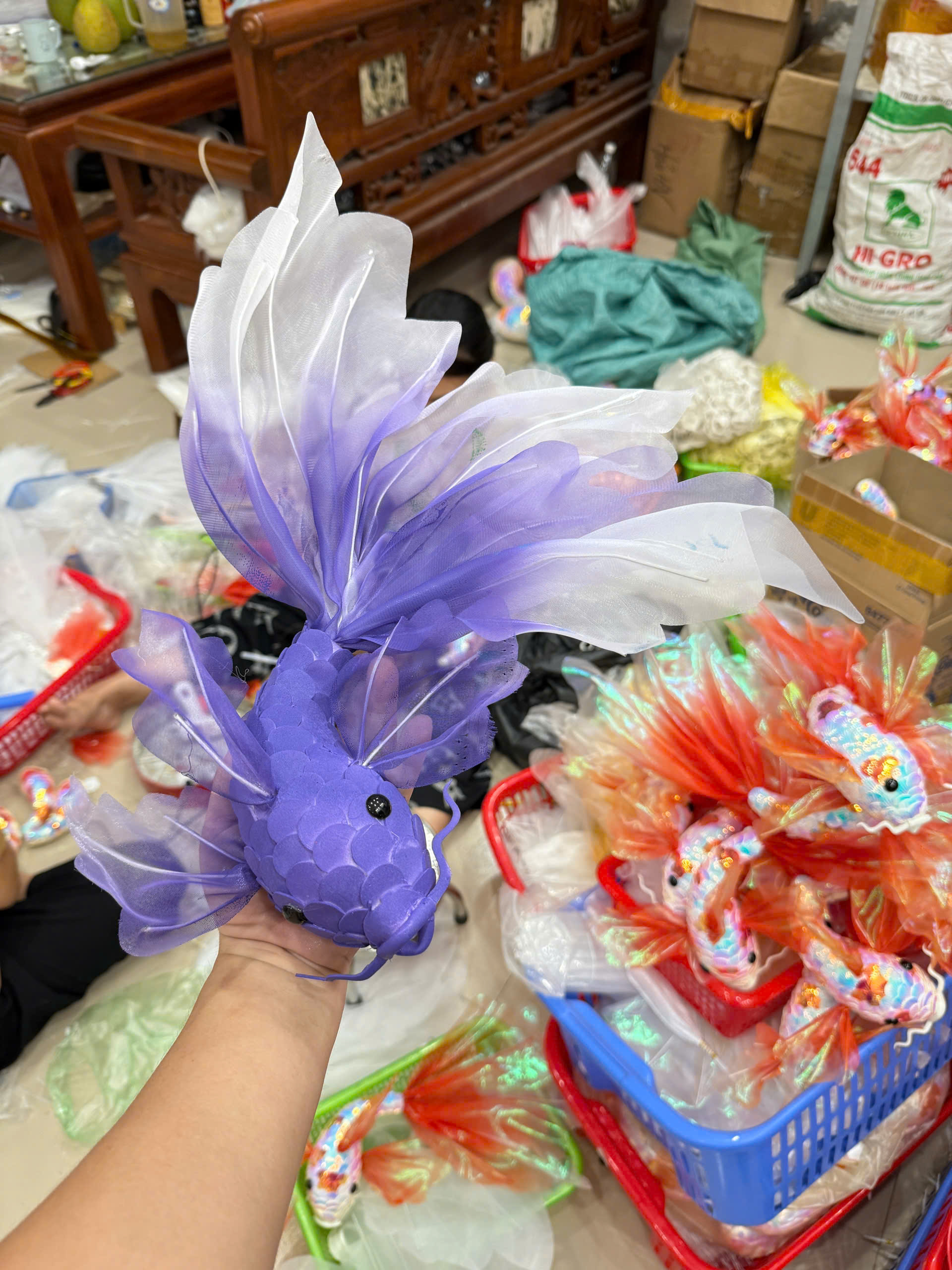 Cá chép lụa - Ảnh 5