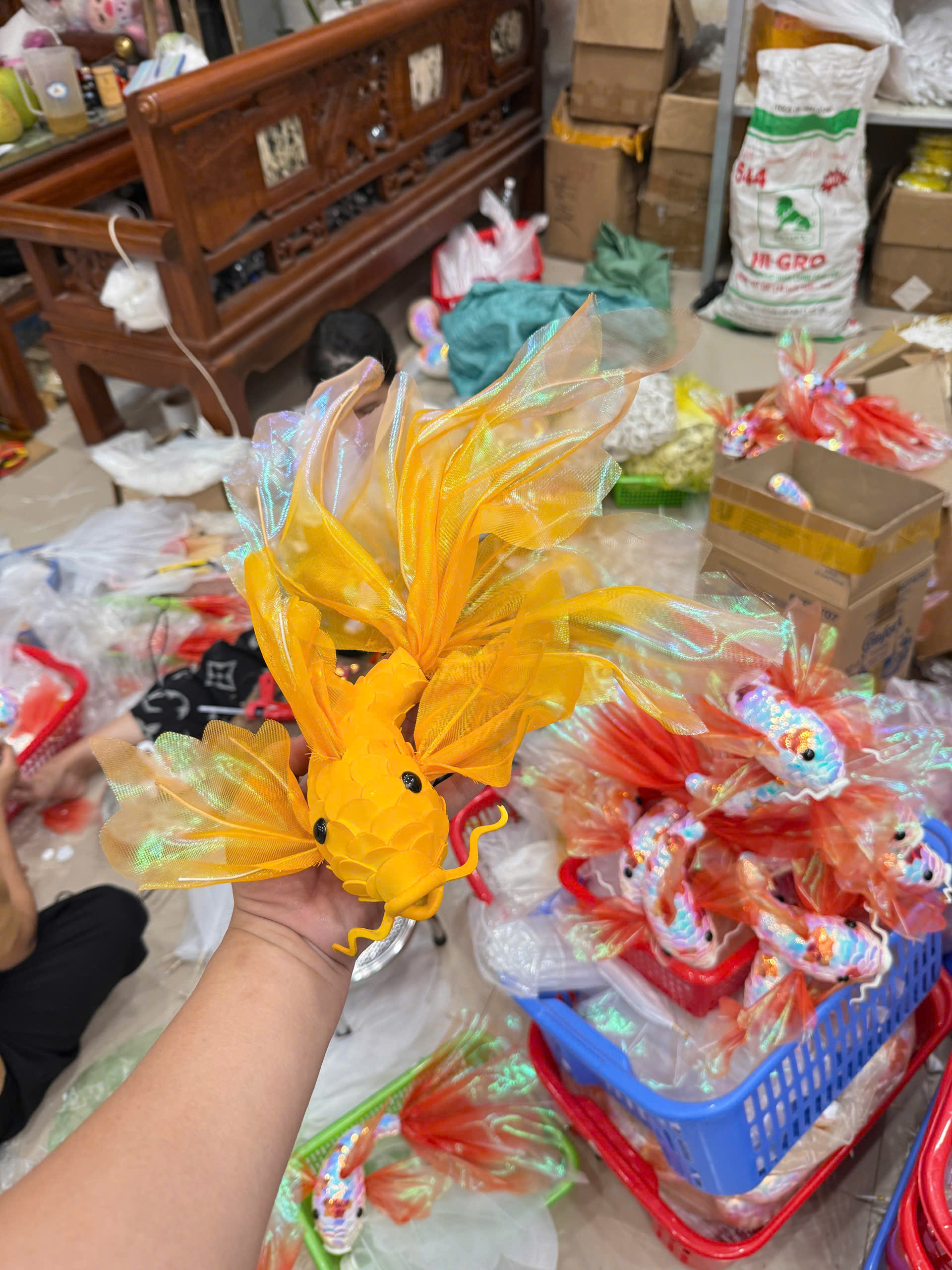 Cá chép lụa - Ảnh 4