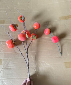 Cành hồng phủ phấn