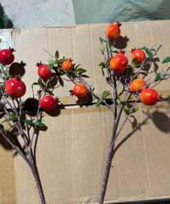 Cành lưu trang trí