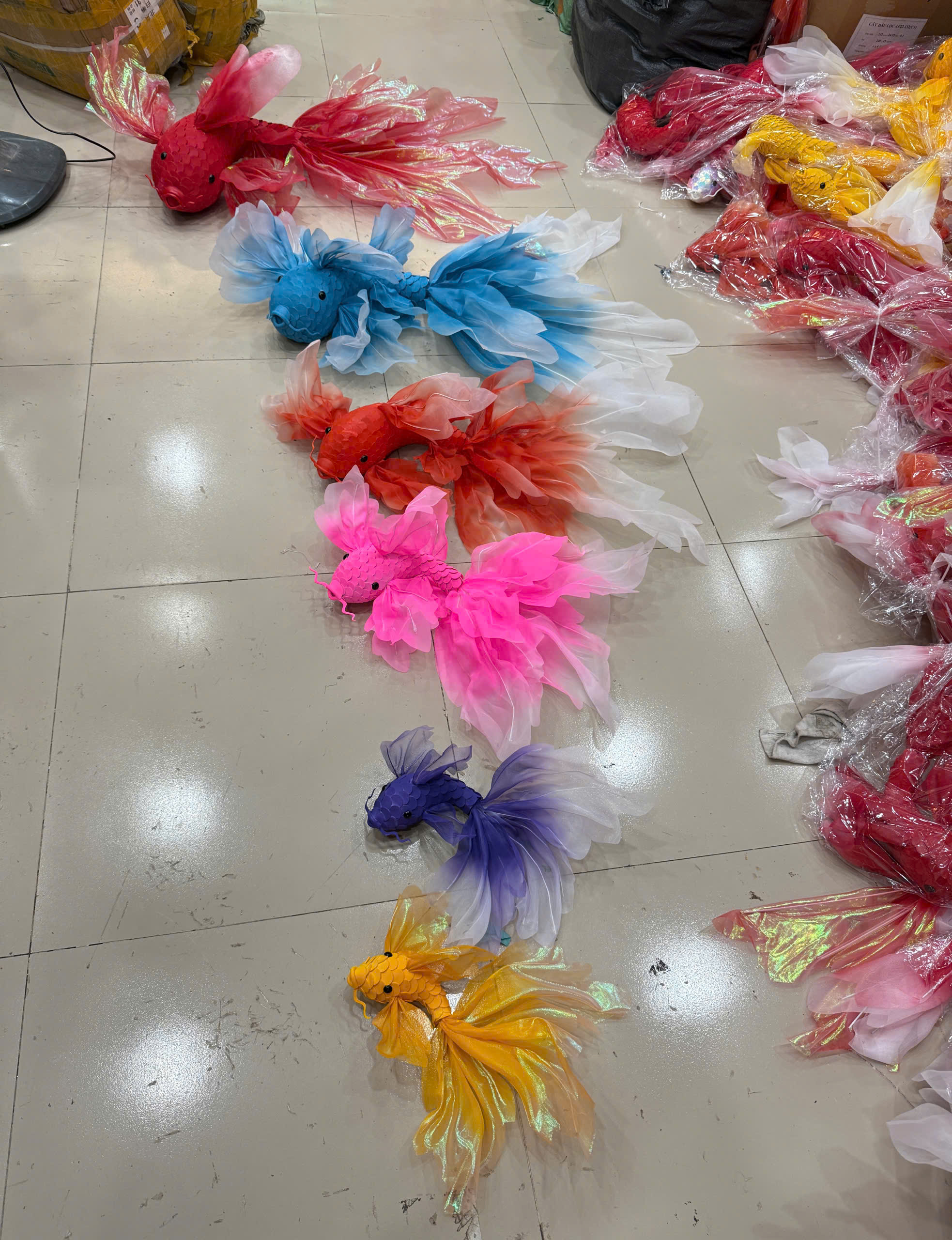 Cá chép lụa - Ảnh 2