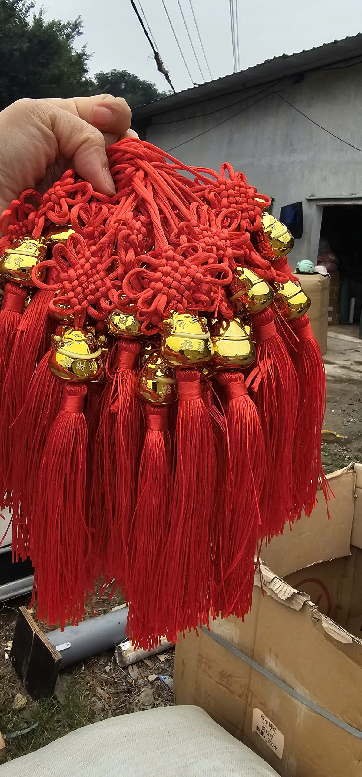 Tua mèo thần tài - Ảnh 2